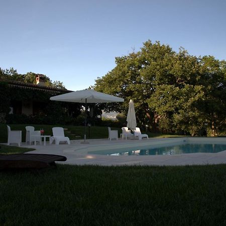The Forest House Isernia Zewnętrze zdjęcie