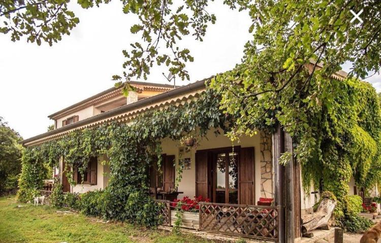 The Forest House Isernia Zewnętrze zdjęcie