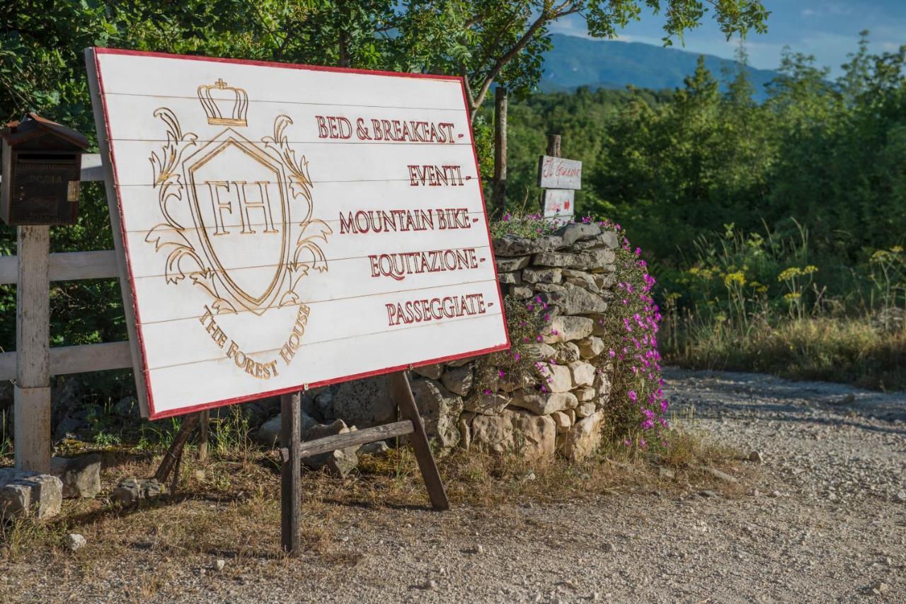 The Forest House Isernia Zewnętrze zdjęcie